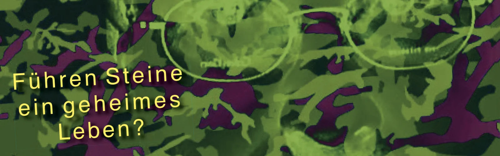 Eine grüne Camouflage-Fläche mit dem Bild einer Brille und dem Schriftzug: Führen Steine ein geheimes Leben?
