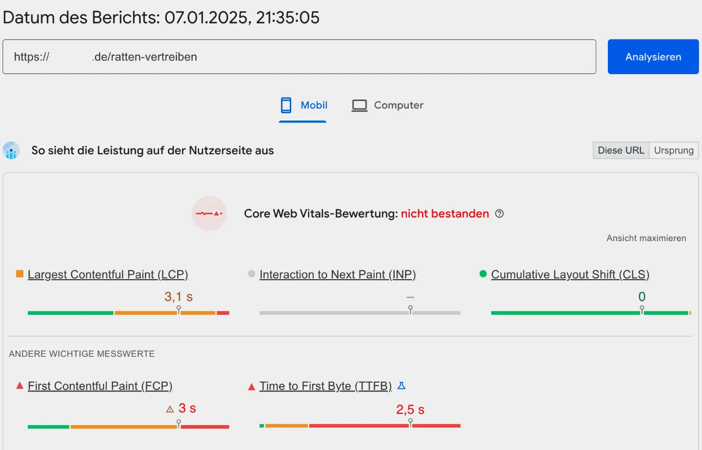 Analysedaten der Performance einer Homepage.