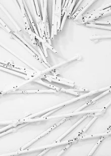 Konzeptkunst – weiss übermalte Spaghetti auf einer Leinwand, von Brotkäfern durchlöchert.