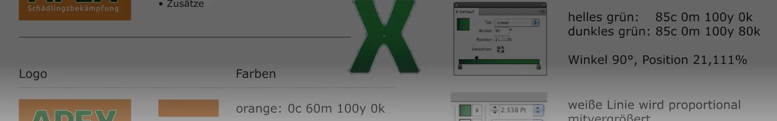 Beispielhafter Auszug aus dem Corporate Design Guide von Wolfram Schäfers für die Firma APEX Schädlingsbekämpfung, auf dem die Logoentwicklung und Darstellungsvorschriften erklärt werden. | konzeptdesignkunst - wolfram schäfers