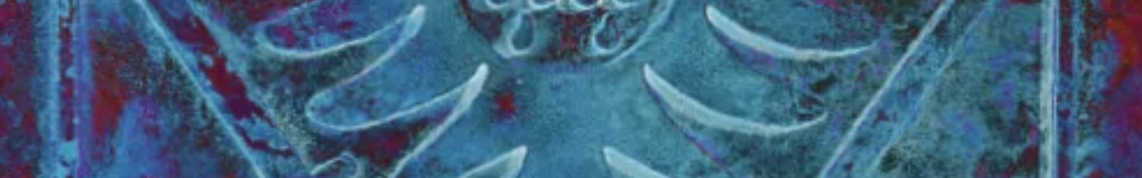 Ausschnitt eines farbigen Bildes, auf dem ein Teil des Adlers eines Köln Wappens zu sehen ist. | konzeptdesignkunst Ausschnitt eines farbigen Bildes, auf dem ein Teil des Adlers eines Köln Wappens zu sehen ist. | konzeptdesignkunst